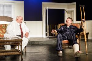 Cat on a Hot Tin Roof