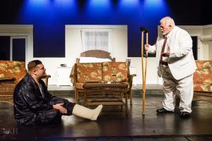 Cat on a Hot Tin Roof